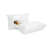 Sleepmasters 2 Pack Hollowfibre Pillows 45x70cm